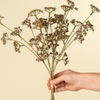 Meadow Grass Bouquet - Brown