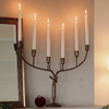 Stag Forged Candelabra - 6 Holders