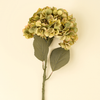 Hydrangea Floral Stem - Green