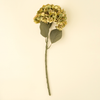 Hydrangea Floral Stem - Green
