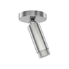 Cleo Adjustable Flushmount
