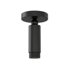 Cleo Adjustable Flushmount