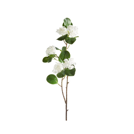 White Viburnum Spray
