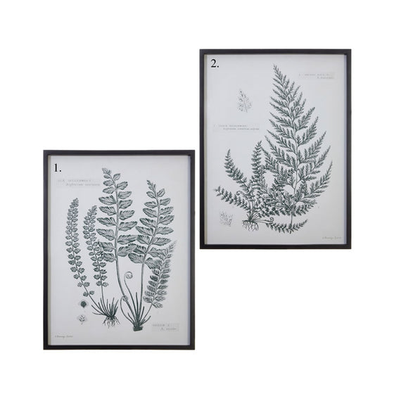 Framed Fern Print