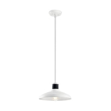  Allenbury Convertible Pendant