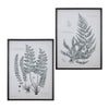 Framed Fern Print