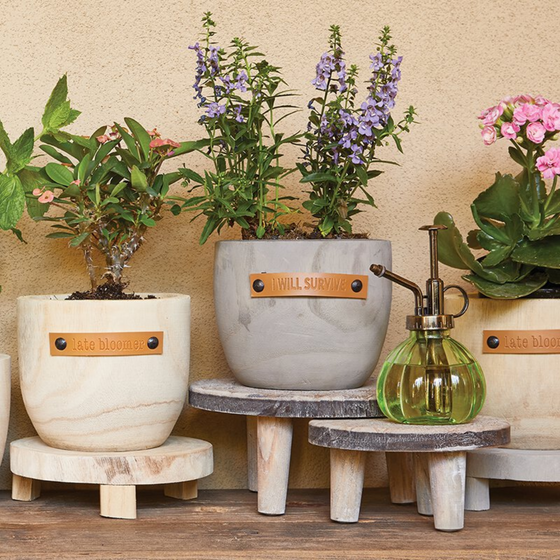 Wood Planter