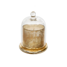  Amber Spruce Cloche Candle