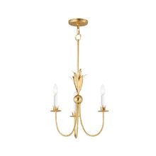  Paloma Small Chandelier